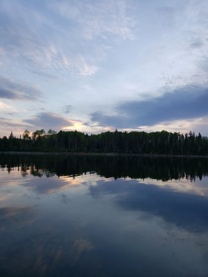 Kyle Shear - 20190605_205248.jpg